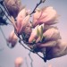 PHOTO-3 thumbnail